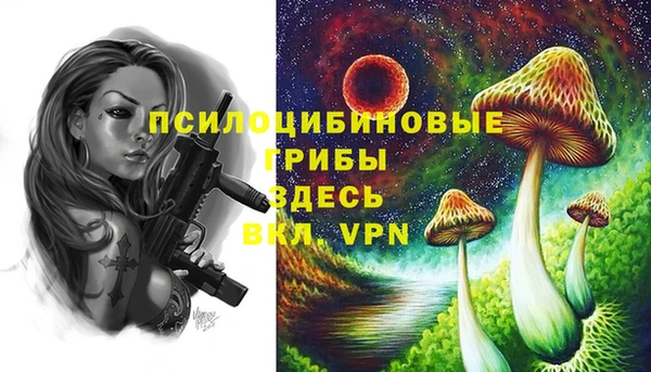 герыч Переславль-Залесский