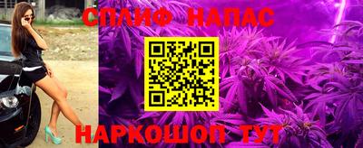 гашик Кандалакша