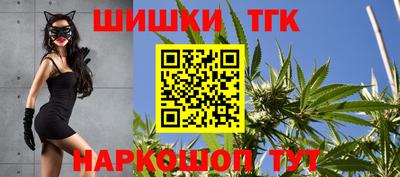 гашик Кандалакша