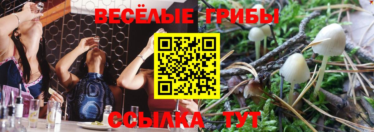 Псилоцибиновые грибы Magic Shrooms Нижнекамск